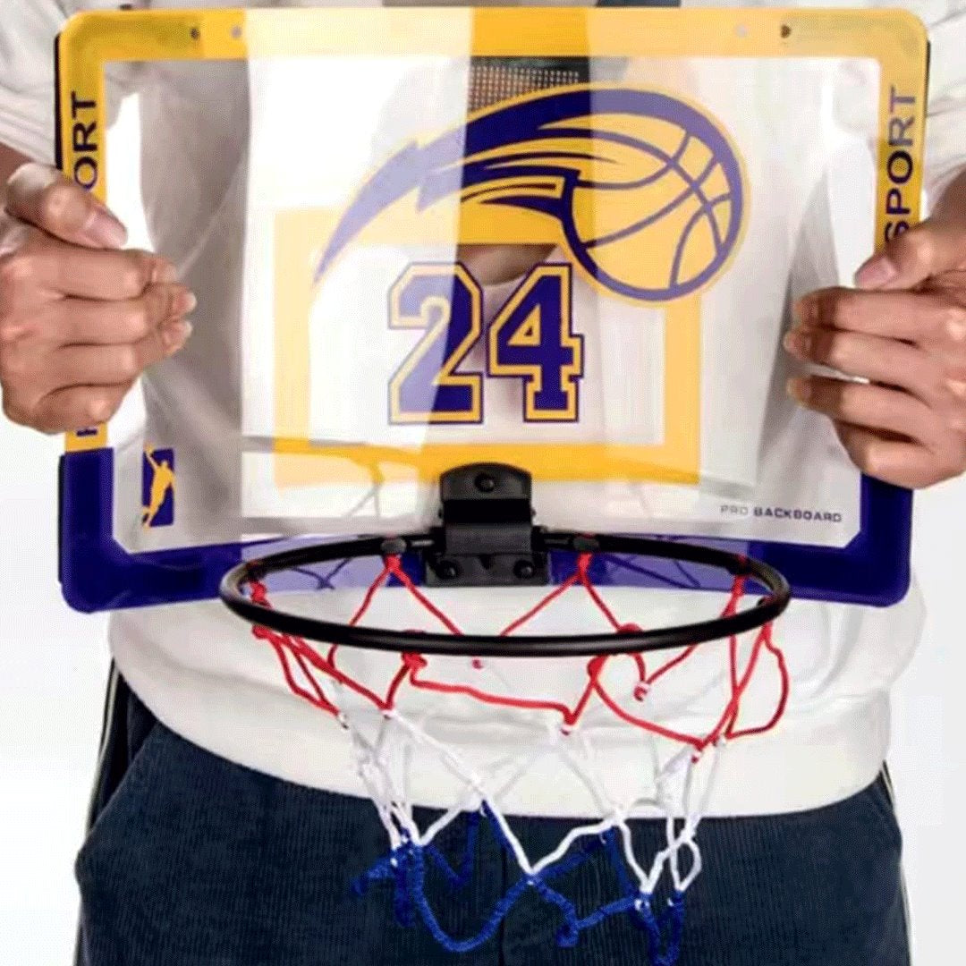 Indoor Basketball Mini Hook + Board + Ball