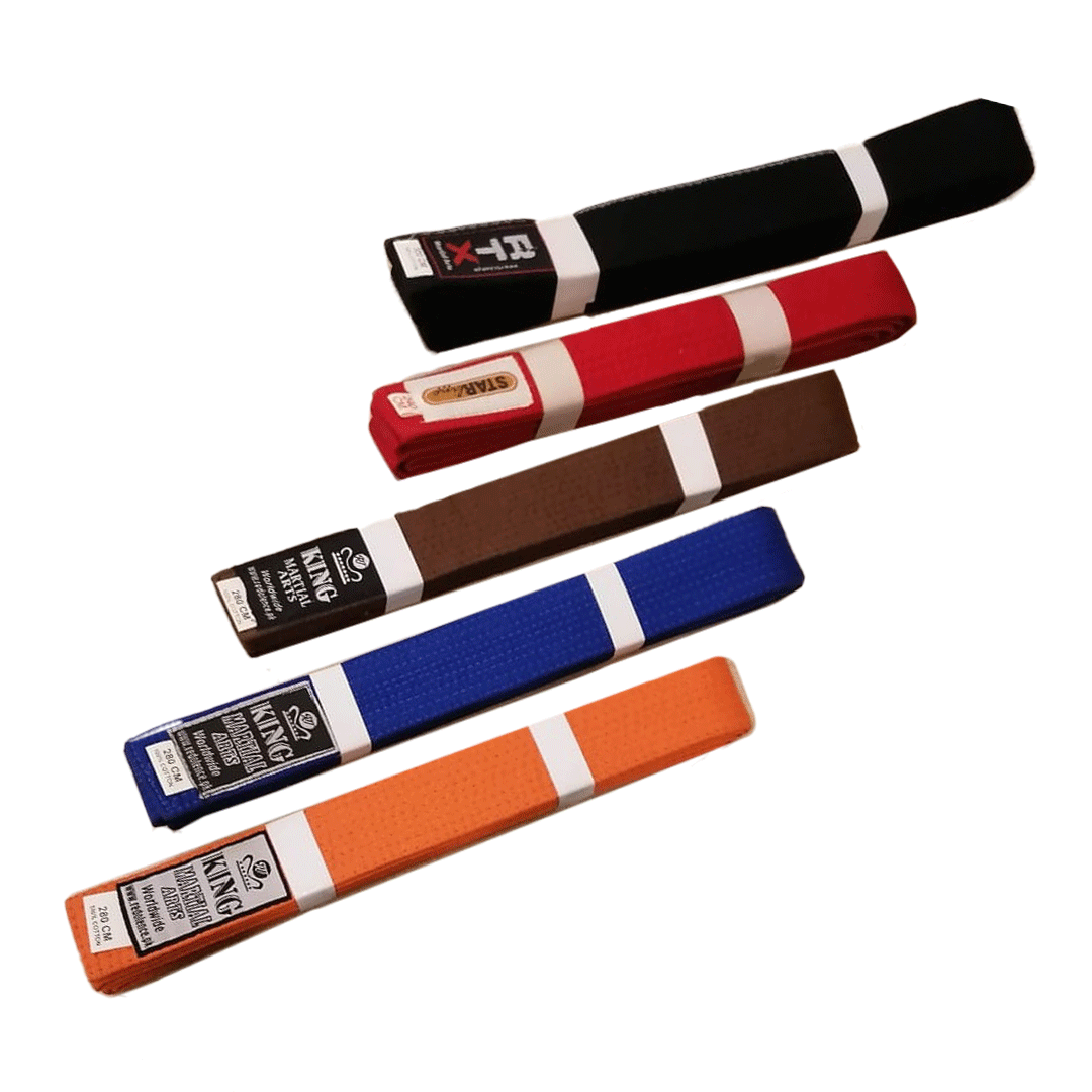 Fighting Belt Taekwondo Karate Martial Arts