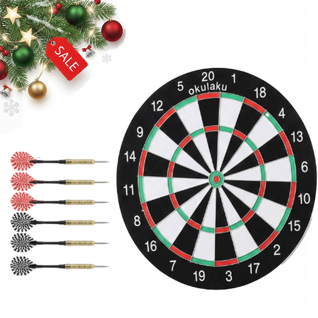 Professional Dart Board