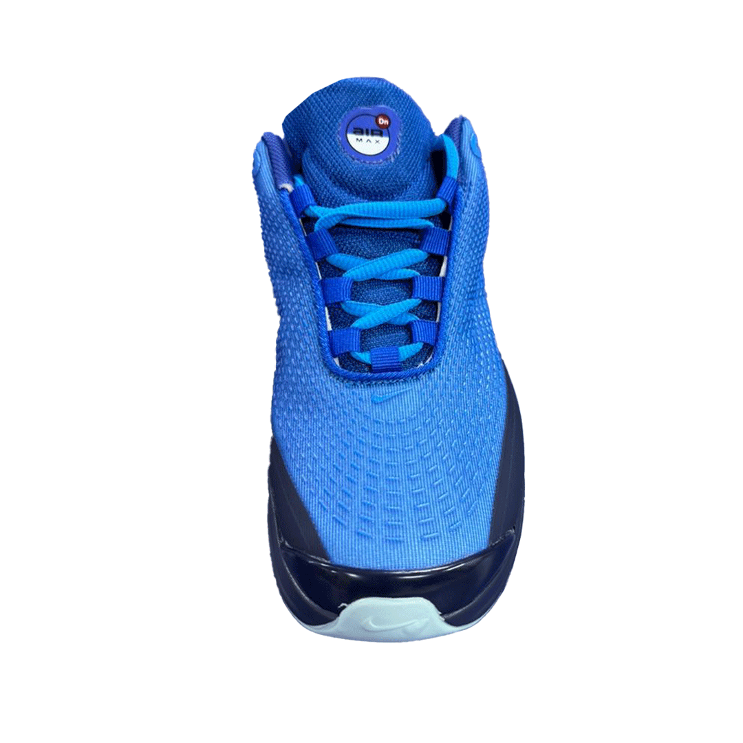 Air Max Shoes DN (Blue)