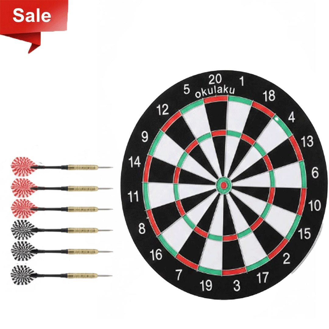 Professional Dart Board