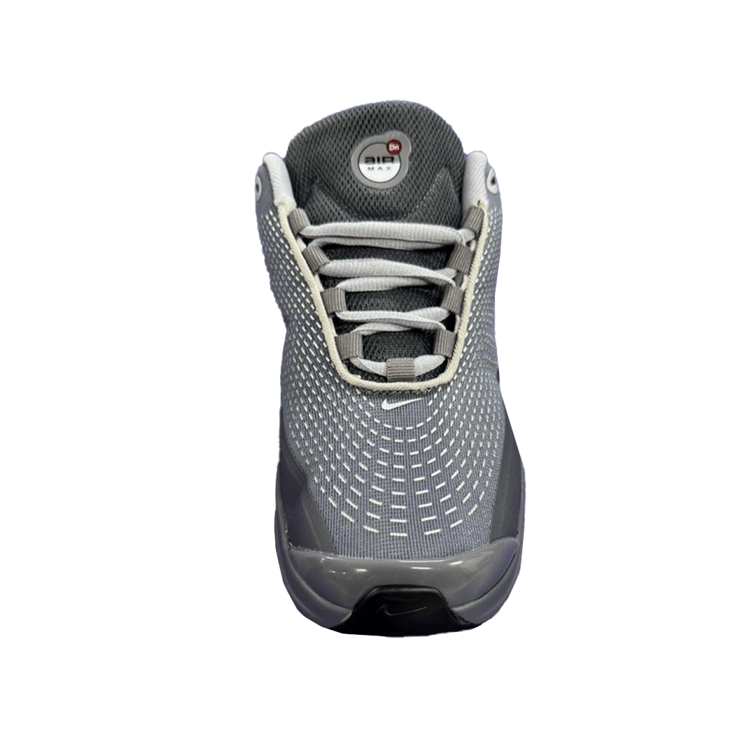Air Max Shoes DN (Grey)