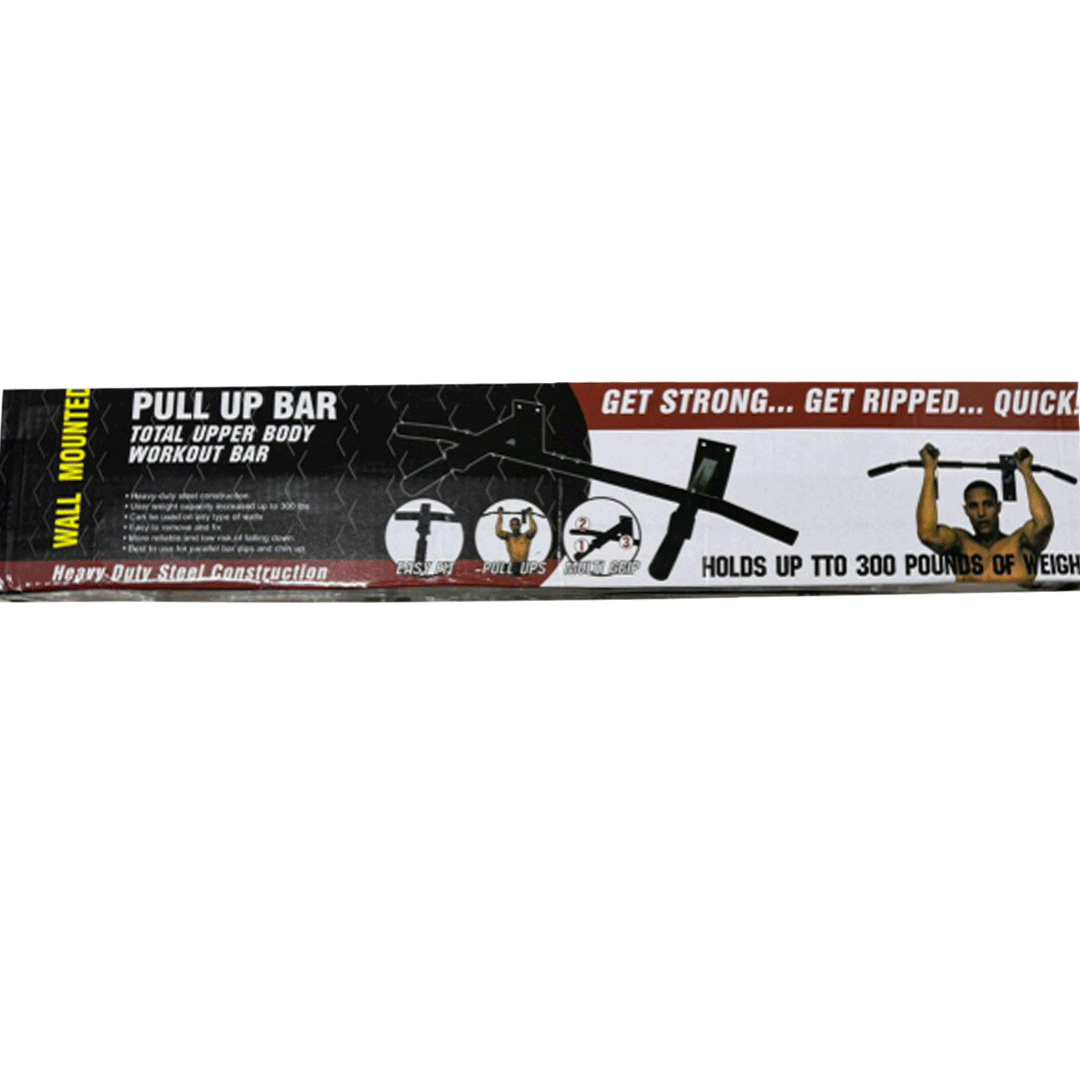 Wall Mounted Pull-Up Bar (Barfix)