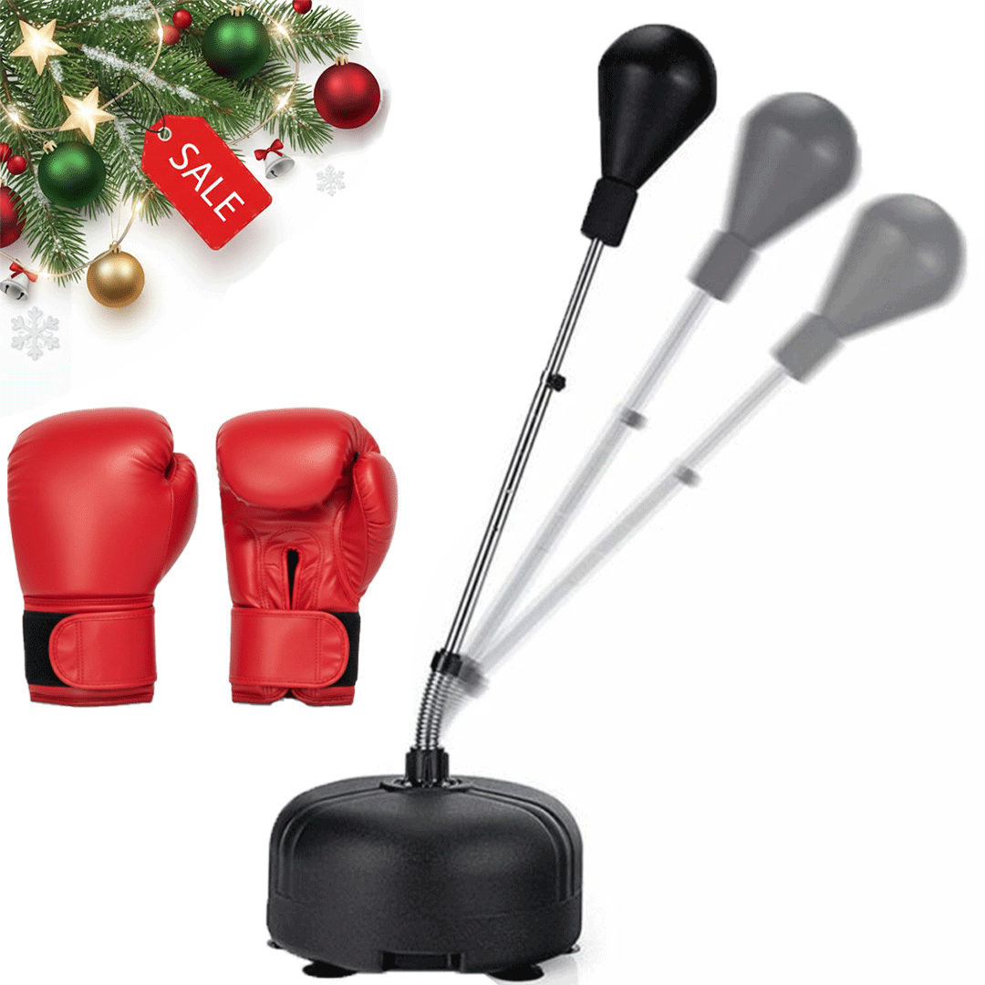 High Speed Punching Bag + Gloves